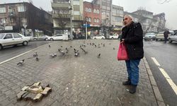 Depremde hasar alan cami önündeki güvercinleri her gün yemliyor