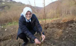 Fındık üreticilerini sevindiren haber! En büyük dertleri tarih oluyor