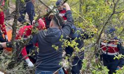 Papa'nın geleceğini duyan defineciler İznik'e dadandı