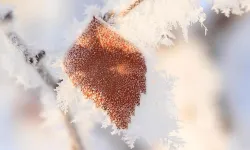 Meteoroloji'den kar ve don uyarısı! Tedbirli olunmalı