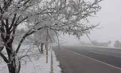 Termometrelerde eksi 13,8 derece! Bitlis'te dondurucu soğuk etkili oldu