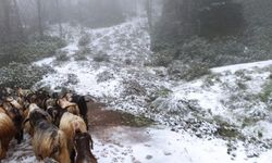 Sakarya’nın yüksek kesimlerinde kar yağışı