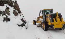 Yoğun kar nedeniyle 8 yol ulaşıma kapandı