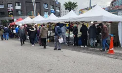 Zonguldak'ta hamsinin yerini istavrit aldı