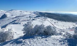 Bolu'da Kartalkaya kayak merkezinde 1 metre kar var