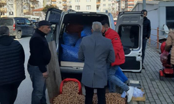 Böyle sahtekarlık görülmedi! Cevizlerin yüzde 99'u çürük