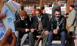 Emekli olmak için çalışmak zorunda değilsiniz! Sosyal haklardan yararlanmak çok kolay...