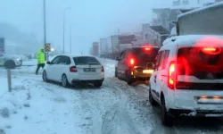 Malatya'nın Hekimhan ilçesinde kar yağışı etkili oldu