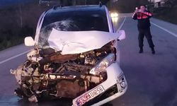 Ordu'da trafik kazası! 2 ölü 5 yaralı