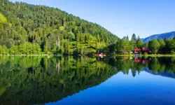 Rize’den Artvin’e Unutulmaz Bir Yolculuk