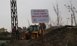 Hatay'da kuş gribi alarmı: Mahalle karantinaya alındı