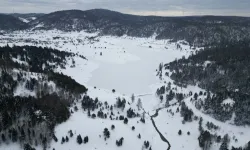 Sakarya'da göletler buz tuttu