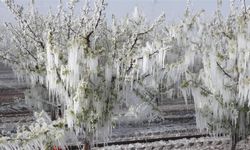 Aşırı hava olayları tarımsal üretimde riskleri artırıyor