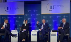 Hatice Karahan: Bu dönemde sıkı parasal duruşa odaklanacağız