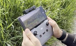 "Kezban teyze"nin kaybolan düvesi dronla bulundu