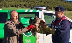 Yozgat'ta dikenli tellere takılmış halde bulunan puhu tedavi altına alındı