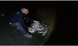 Van'da kaçak inci kefali avlayan kişiye 59 bin 394 lira ceza verildi