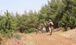 Kilis'te orman yangını denetimi