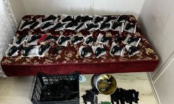 Gaziantep'te bir el bombası ile 45 silah ele geçirildi