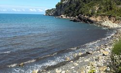 Amasra'da denizde kirlilik