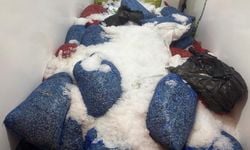 Samsun'da 3,8 ton kaçak avlanmış midye ele geçirildi