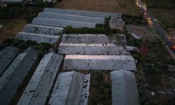 Antalya'da hortum seraları yerle bir etti, evlerin çatıları uçtu