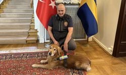 Asrın felaketinde 18 can kurtaran kahraman köpek Killian yaşamını yitirdi