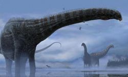 Yeni dinozor keşfi, kanser tedavisi için ipuçları barındırıyor olabilir