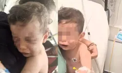 Denizli'de skandal! 2 yaşındaki bebeği öldüresiye dövdüler