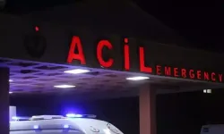 Aile vahşeti: Babasını öldürdü, annesini yaraladı!