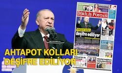 Ahtapot kolları deşifre ediliyor