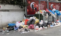 Beşiktaş'ta çöp dağları vatandaşı isyan ettirdi