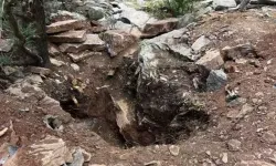 Eski vali ile emekli albay suçüstü yakalandı