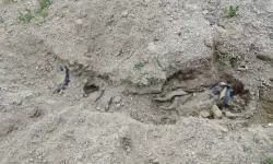 Çoban, battaniyeye sarılarak gömülmüş ceset buldu!