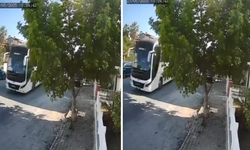 Yolda yatan köpeği ezip yoluna devam etti
