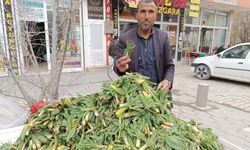 Ağrı'da baharın müjdecisi ışkın ve çiriş tezgahları süslüyor