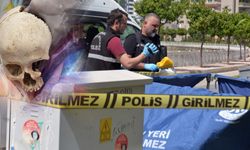 Çöpte bulunan kafatasının sırrı çözüldü!