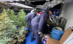 İnternette izlediği videolarla evini uyuşturucu serasına çevirdi