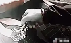 İzmir'de araçlardaki 'Bozkurt' sembollerini söken şüpheliye gözaltı