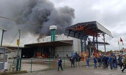Fındık fabrikasında korkutan yangın: Müdahale sürüyor
