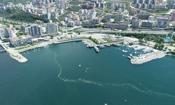 Marmara'nın incisi Gemlik! Doğa ve tarihin izinde...