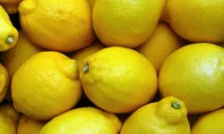 İstanbul'da nisan ayında fiyatı en çok artan ürün limon oldu
