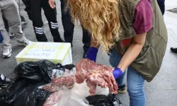İzmir'den Antalya'ya yolcu otobüsüyle getirilen 300 kilo et imha edildi