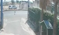 Sokak köpeğinin neden olduğu kazada 4 kişi yaralandı