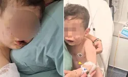 Dayak dehşetinde annenin ifadesi ortaya çıktı