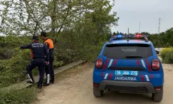 Bursa'da kaçak avcılık operasyonu