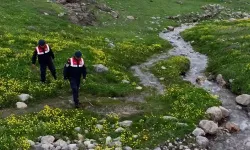 Jandarma burada 7/24 nöbet tutuyor! Doğadaki servet için olağanüstü koruma