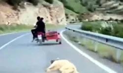 Kahramanmaraş'ta köpeği motosikletle sürükleyen sürücü gözaltına alındı
