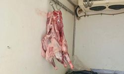 Hatay'da sağlıksız koşullarda taşınan 34 kilo et imha edildi