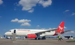 AnimaWings Hava Yolları, Romanya'dan İstanbul'a uçuş başlatacak
